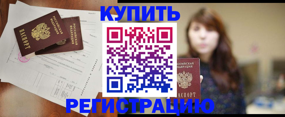 прописка поиск в Курске